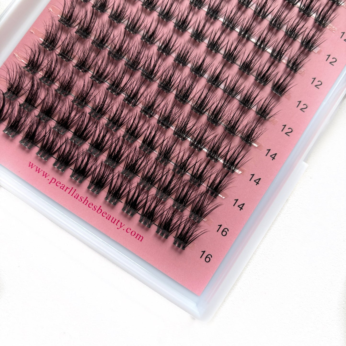 Girly Pop ( Limited Edition)